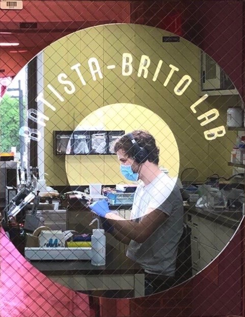 Batista-Brito Lab Contact